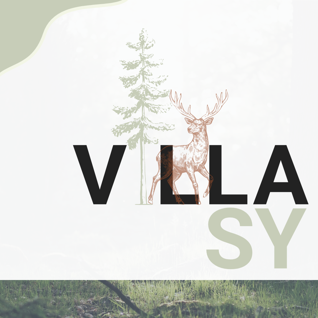 Logo ontwerp vakantiehuis Villa Sy