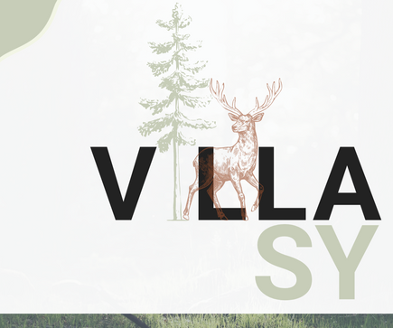 Logo ontwerp vakantiehuis Villa Sy